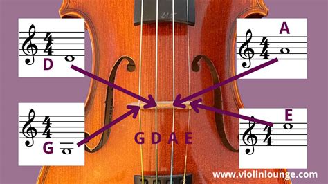 How to Read Cello Music: A Comprehensive Guide with Insightful Views